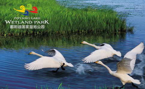 鄱陽(yáng)湖國(guó)家濕地公園